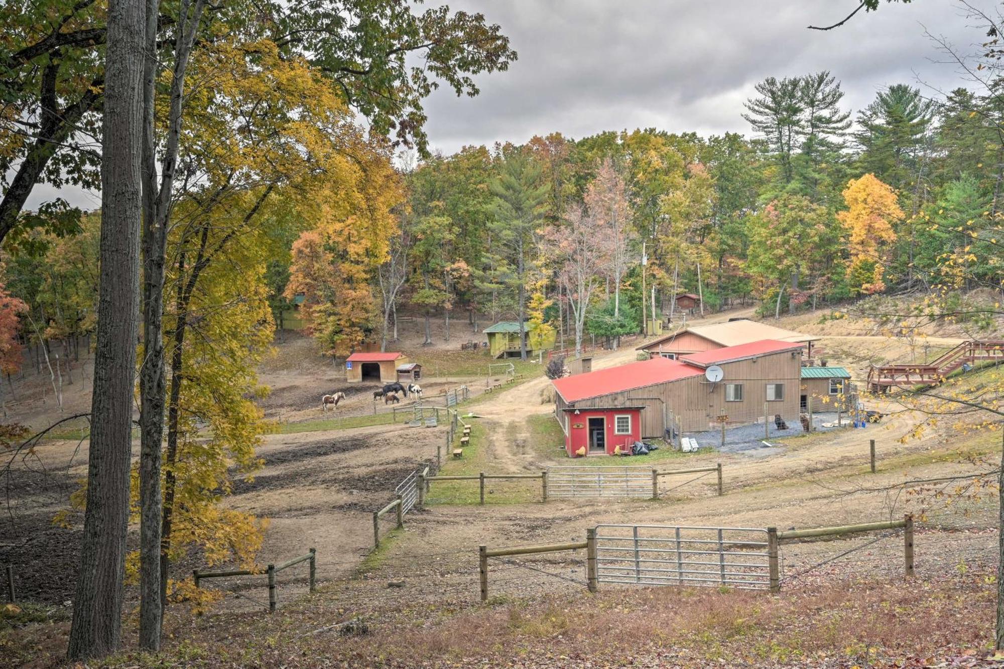 Lone Ranger Cabin With 50 Acres By Raystown Lake Huntingdon Exterior photo