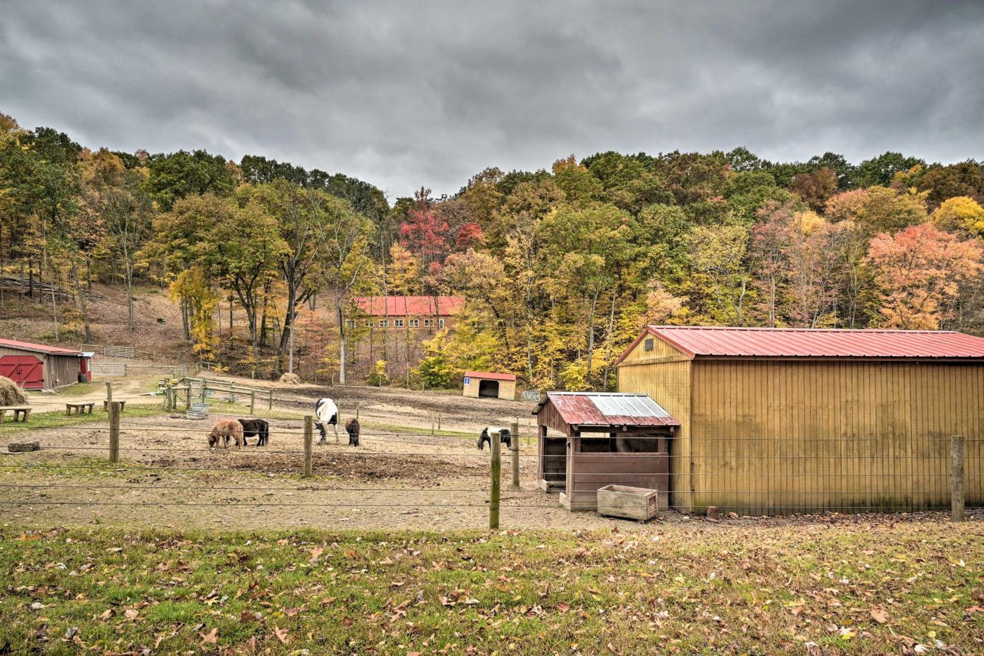 Lone Ranger Cabin With 50 Acres By Raystown Lake Huntingdon Exterior photo