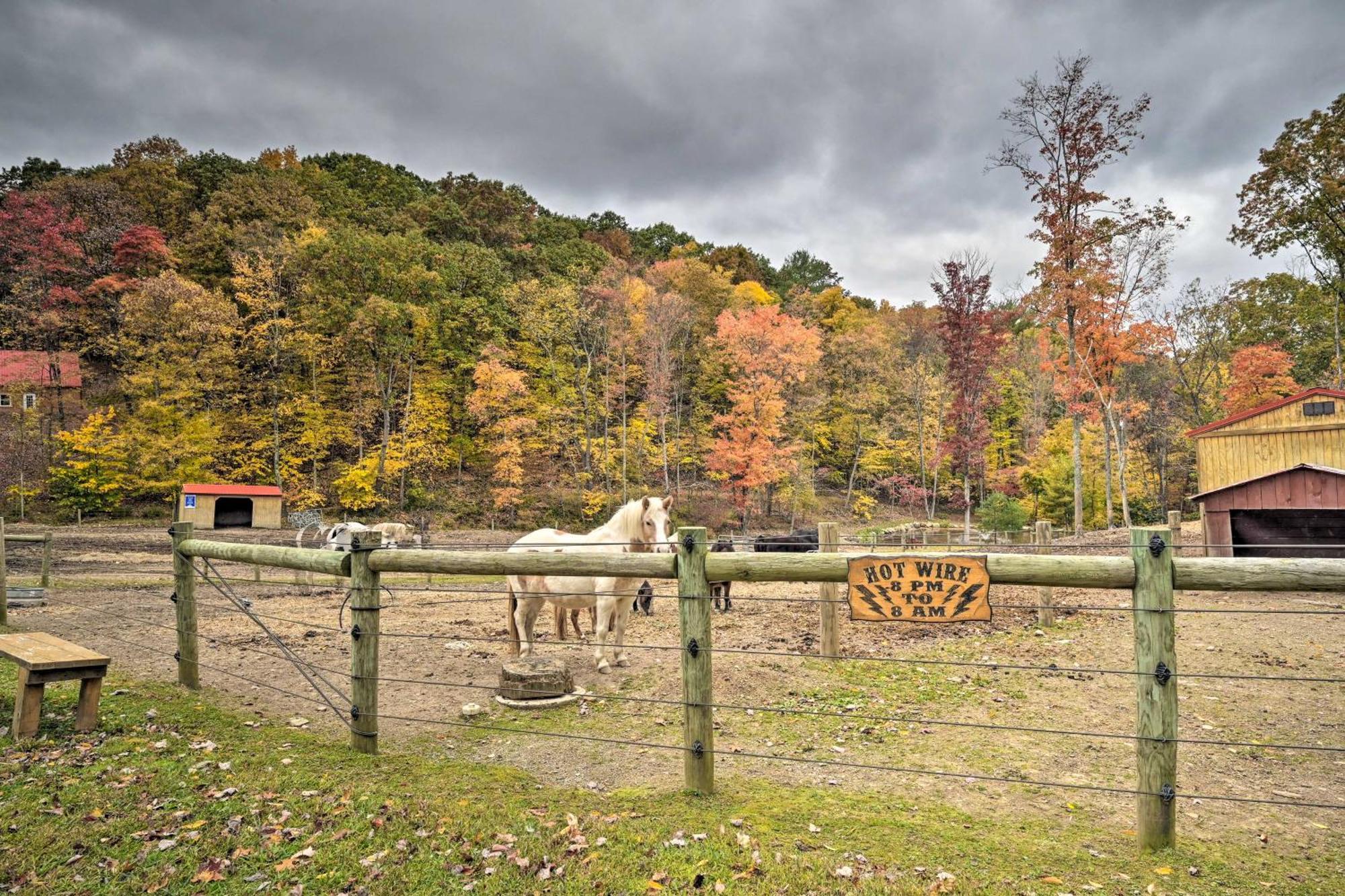 Lone Ranger Cabin With 50 Acres By Raystown Lake Huntingdon Exterior photo